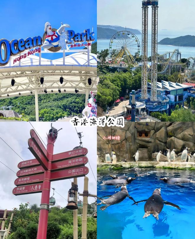 四日游景点推荐攻略：这些景点不容错过j9九游会登录港澳四日游路线规划港澳(图3)